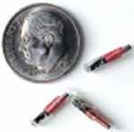 TINY TECH: A dime dwarfs the 
VeriChip, which is made by a 
Palm Beach company.
